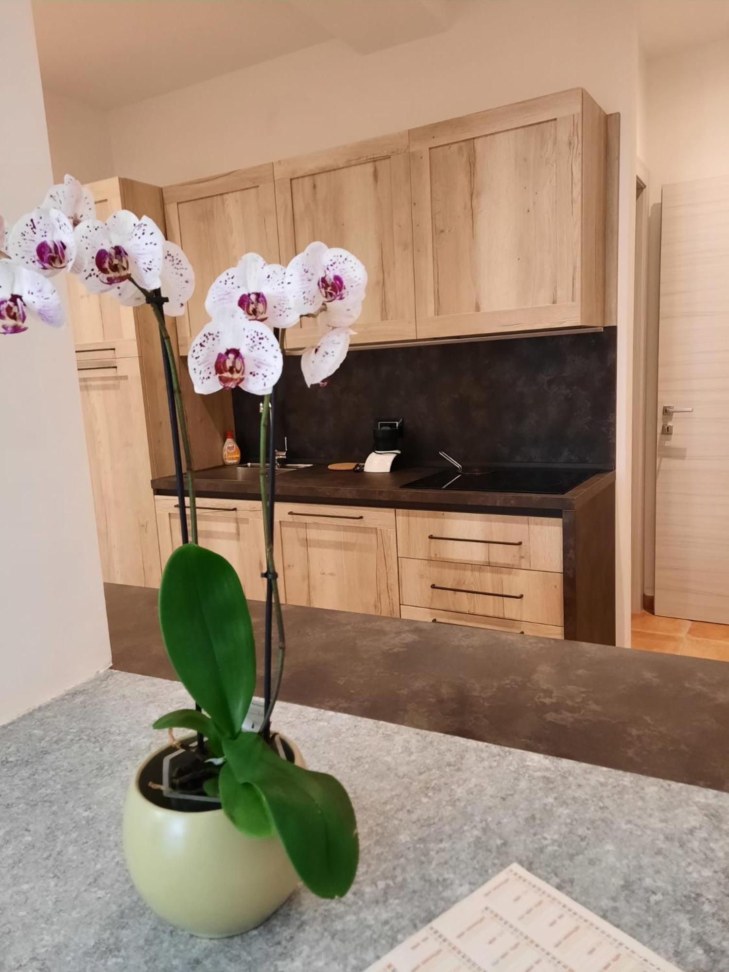 Le Coccinelle Home Mandello del Lario Bagian luar foto